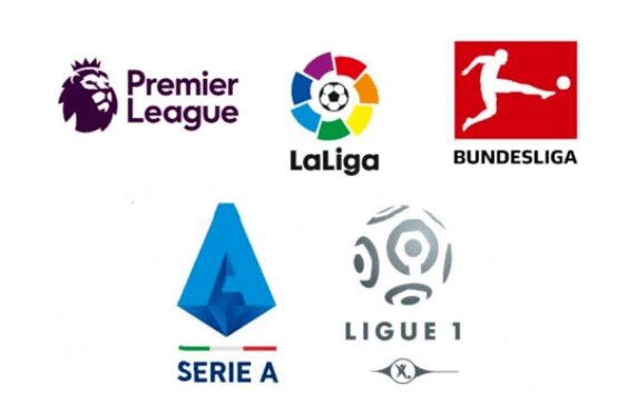 我们会看到 我们会看到